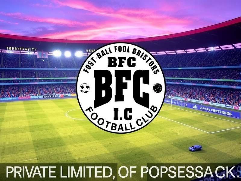 BNFC Corporate Structure Meeting